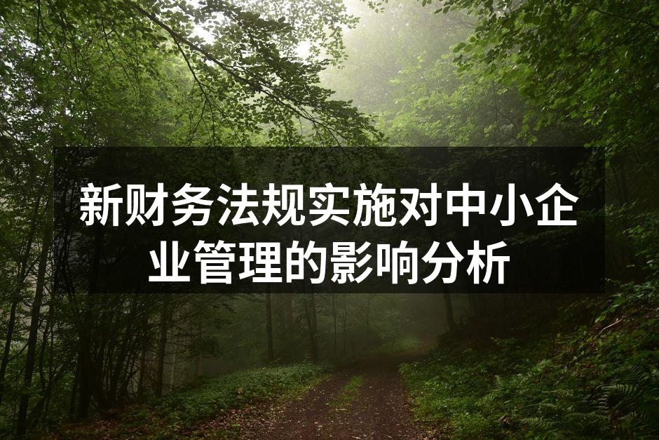 新财务法规实施对中小企业管理的影响分析