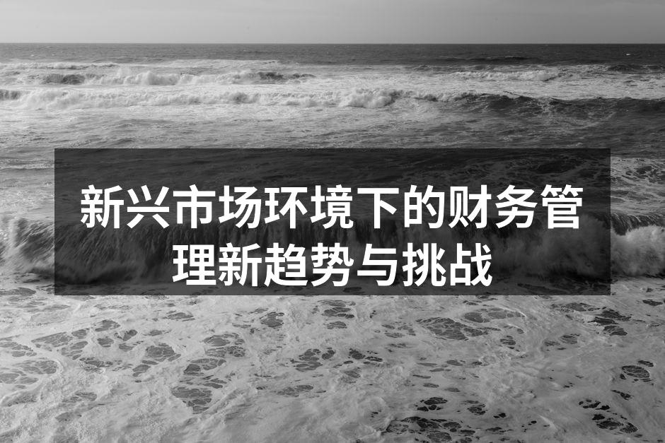 新兴市场环境下的财务管理新趋势与挑战