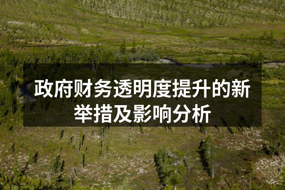 政府财务透明度提升的新举措及影响分析
