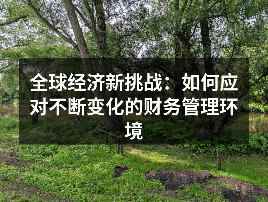 全球经济新挑战：如何应对不断变化的财务管理环境